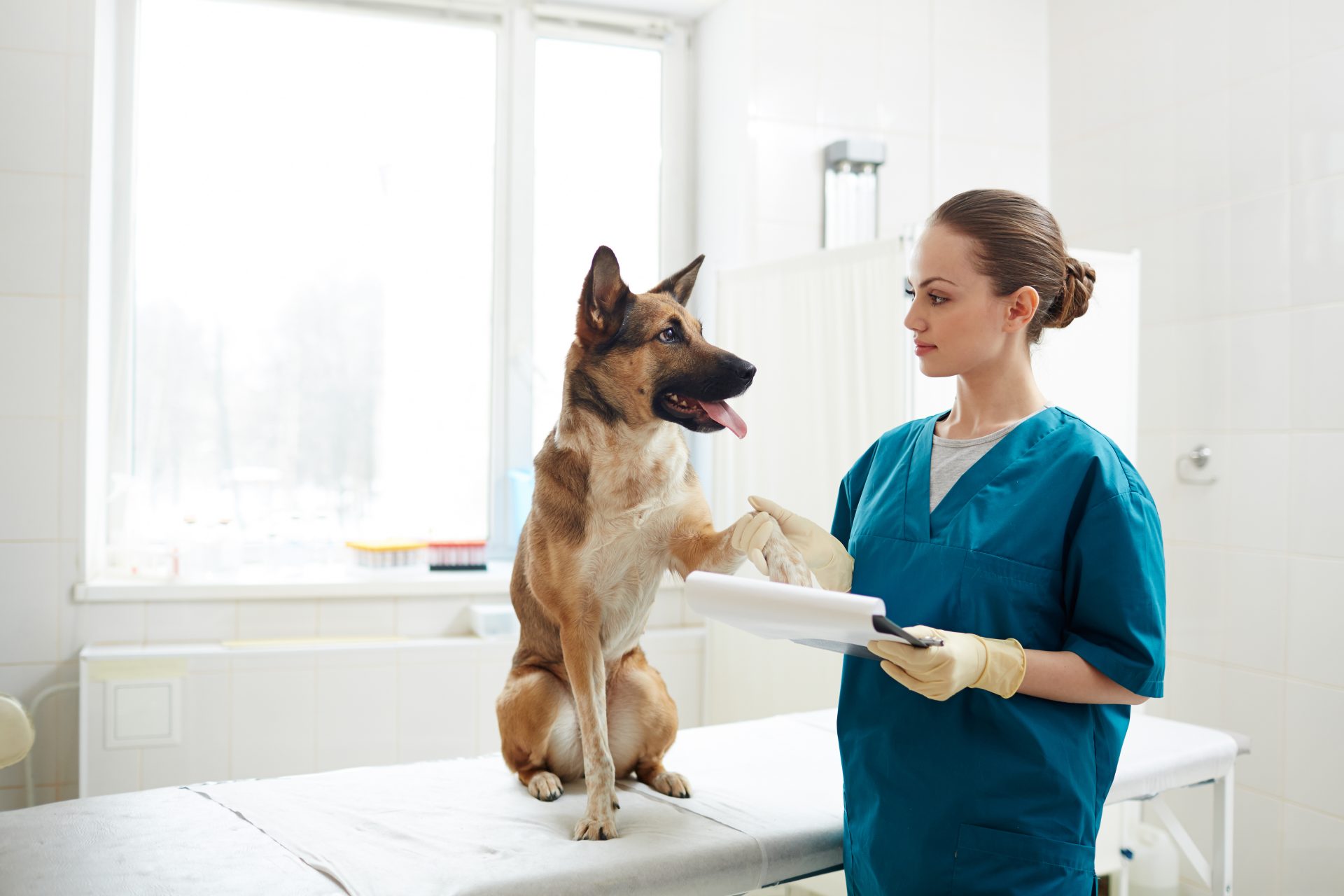 Productos de Diagnostico Veterinario
