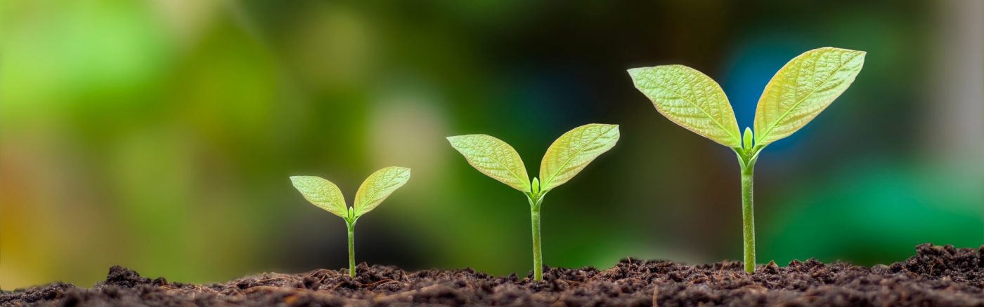 Responsabilidad ambiental