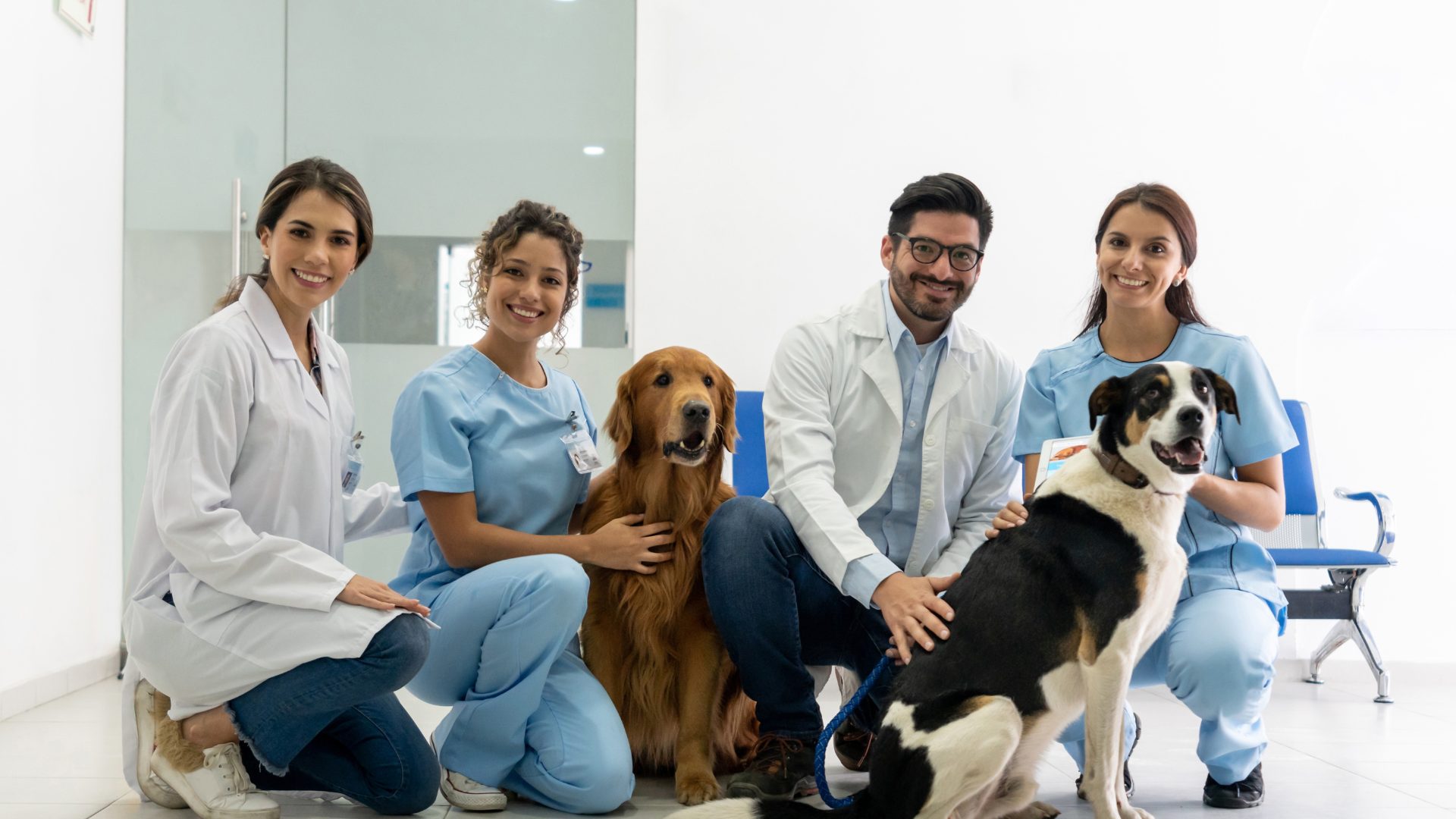Productos para Diagnostico veterinario